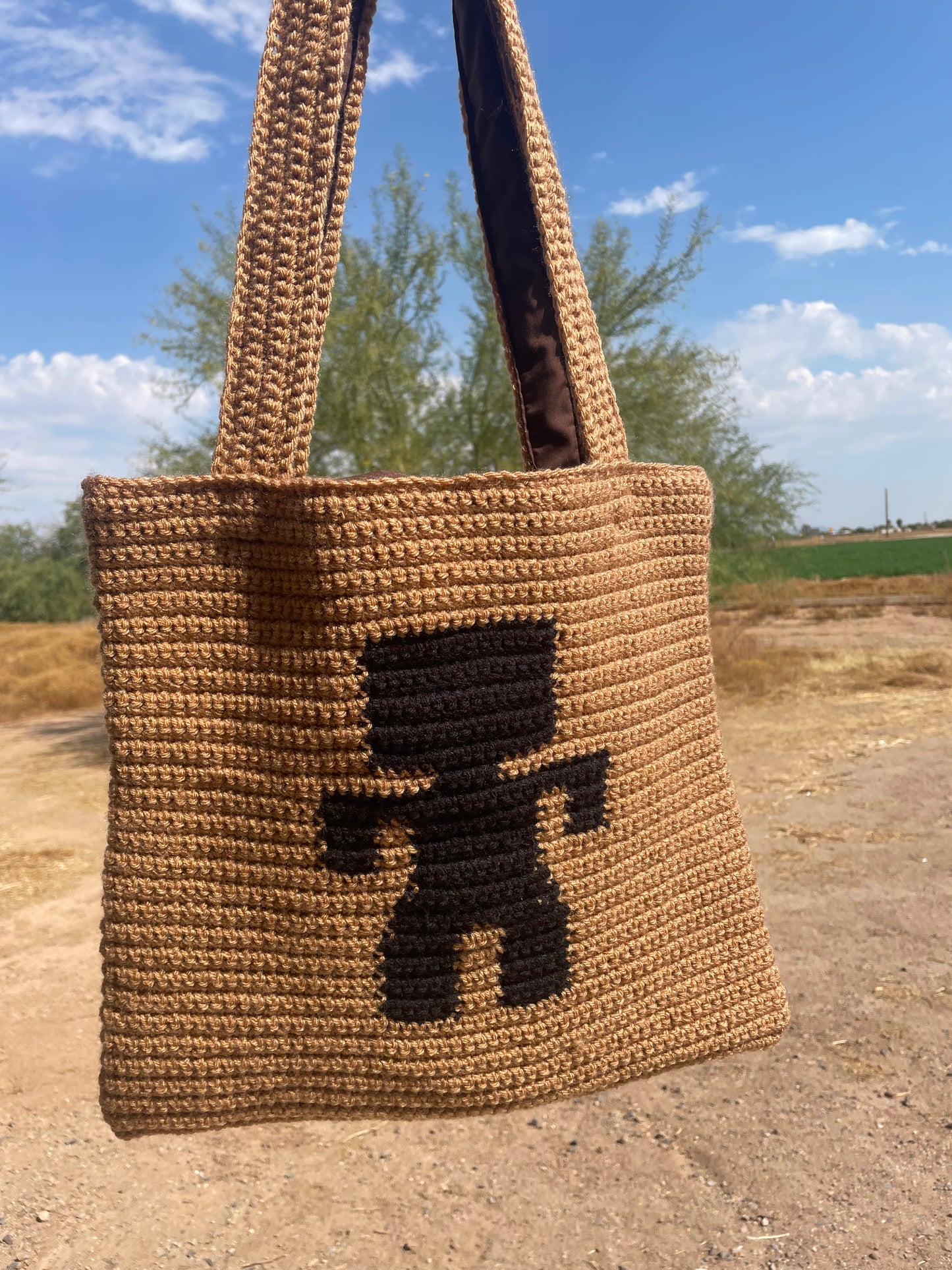 Walking with I’itoi bag